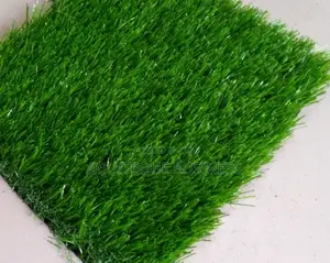 Grass Carpets Wholesale Prices