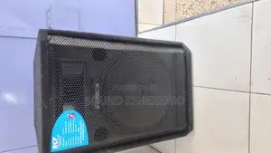 RCF 15 Inch Mid Range Speaker