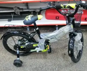 Modern Kids Bike Size 16