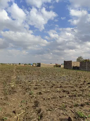 Murera Prime Plots for Sale