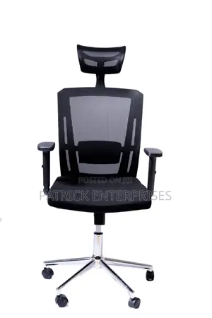 Imported Morden Orthopedic Office Chairs