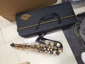 Henri Selmer Black Alto Saxophone