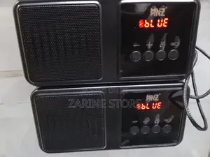 Wireless Speaker Bluetooth Connectivity, Outdoors Flashlight