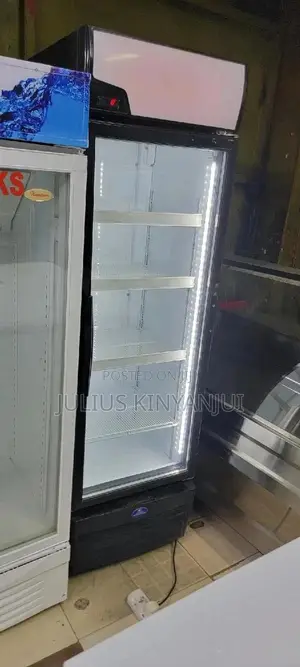 Display Fridge 450L
