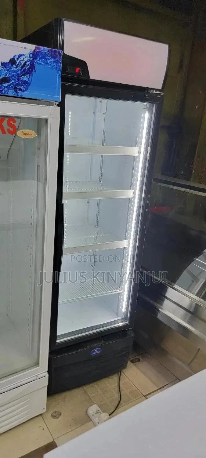 Display Fridge 450L