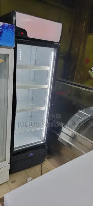Display Fridge 450L
