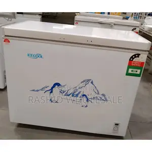 169l Deep Freezer