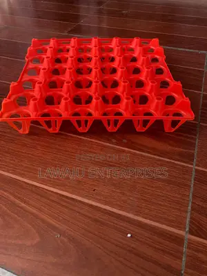 30 Holes Plastic Egg Tray