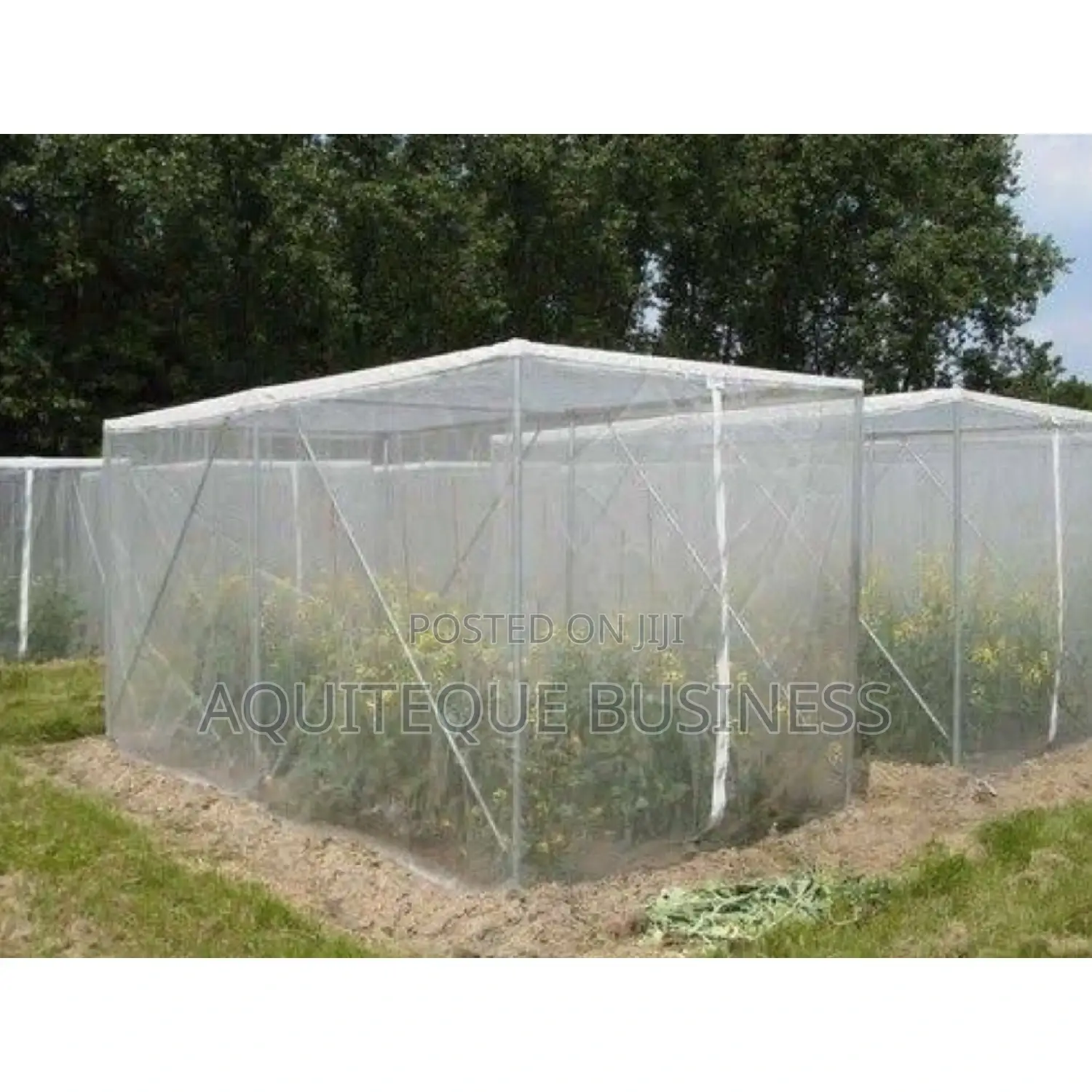 Insect PVC Nets