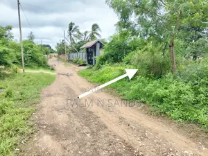 Galu Mwisho Wa Lami Plot