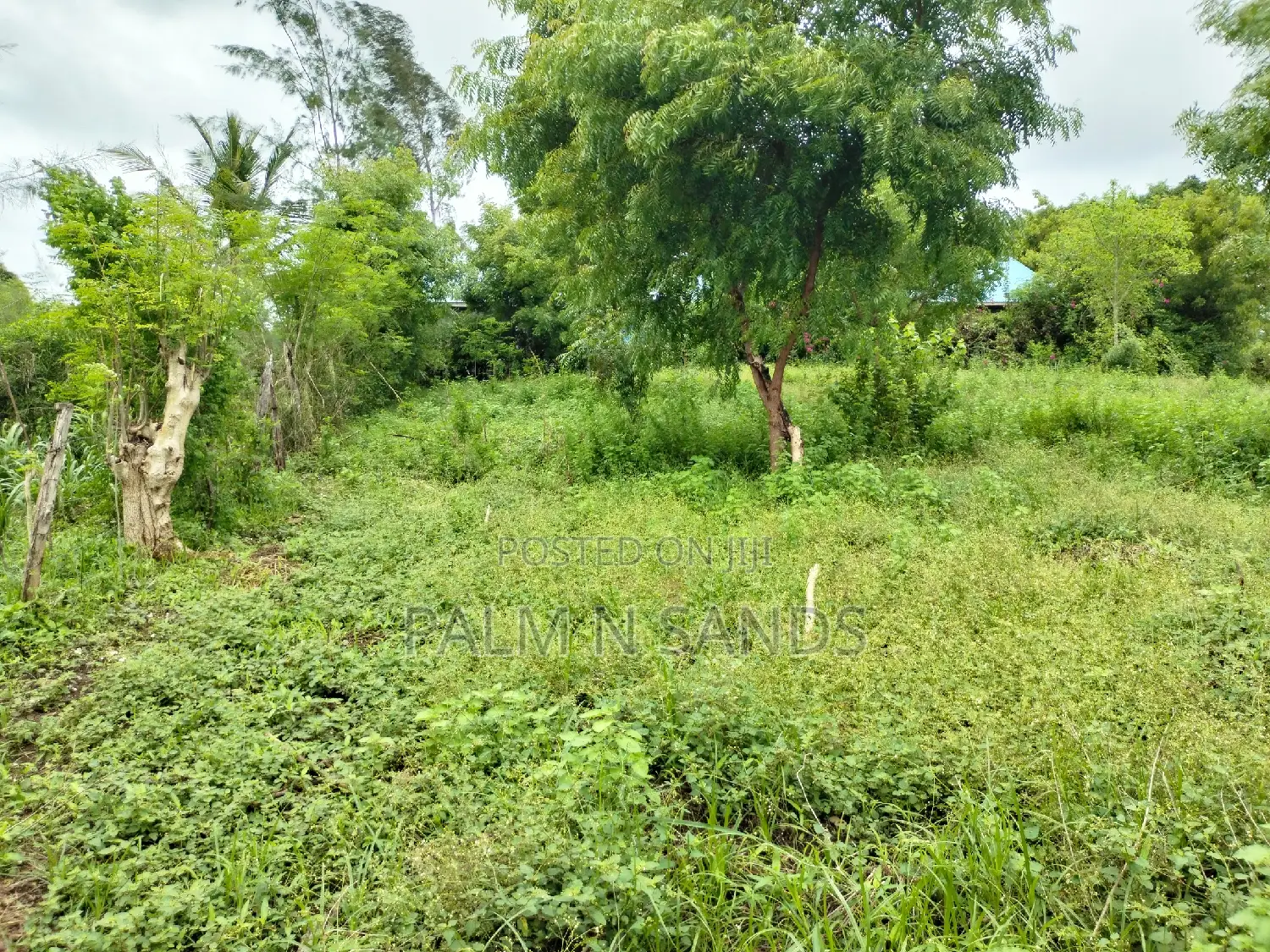Galu Mwisho Wa Lami Plot