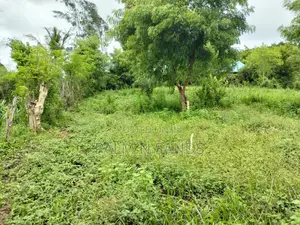 Galu Mwisho Wa Lami Plot