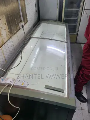 Display Freezer 1000litres