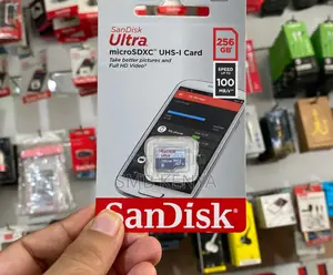 256 Gb Microsdxc Card