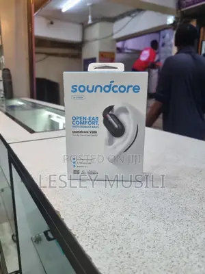 Anker V30i Open-Ear Headphones,Black(Soundcore)