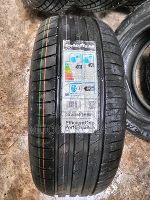225/55r16 Goodyear Tyre