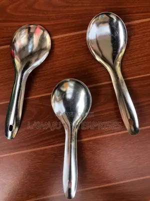 Stainless Steel Serving Spoon