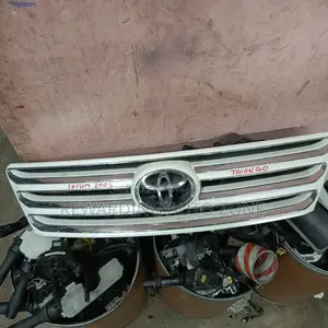Spacio 2005 Grille