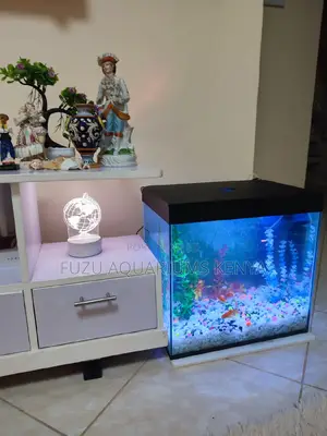 Fully Equipped Small Aquarium
