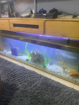 Wide Tv Stand Aquarium 5ft