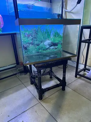 Desk Top Aquarium Brand New
