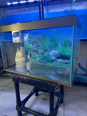 Brand New Desktop Aquarium