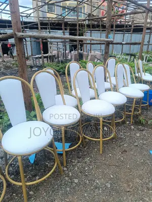 Hotel or Restaurant Chairs, White