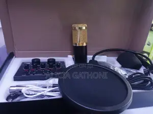 BM-800 Microphone With V8sound Card