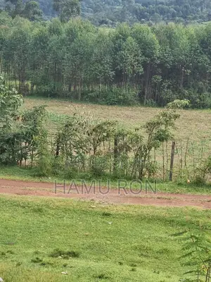 Mixed Use Prime Land for Sale, 1.6acres
