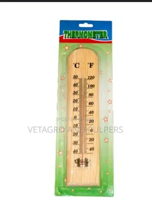 Brooder Thermometer