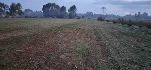2 Acres Arable Land For Sale Kiplombe Kaptebengwet Eldoret