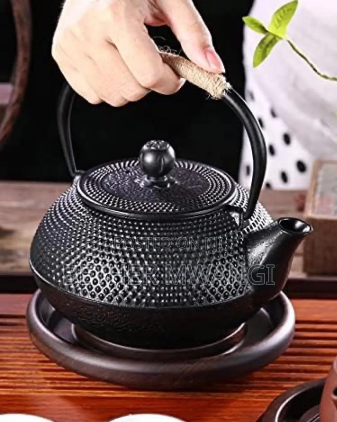 Japanese Cast Iron Tea Kettle Pot