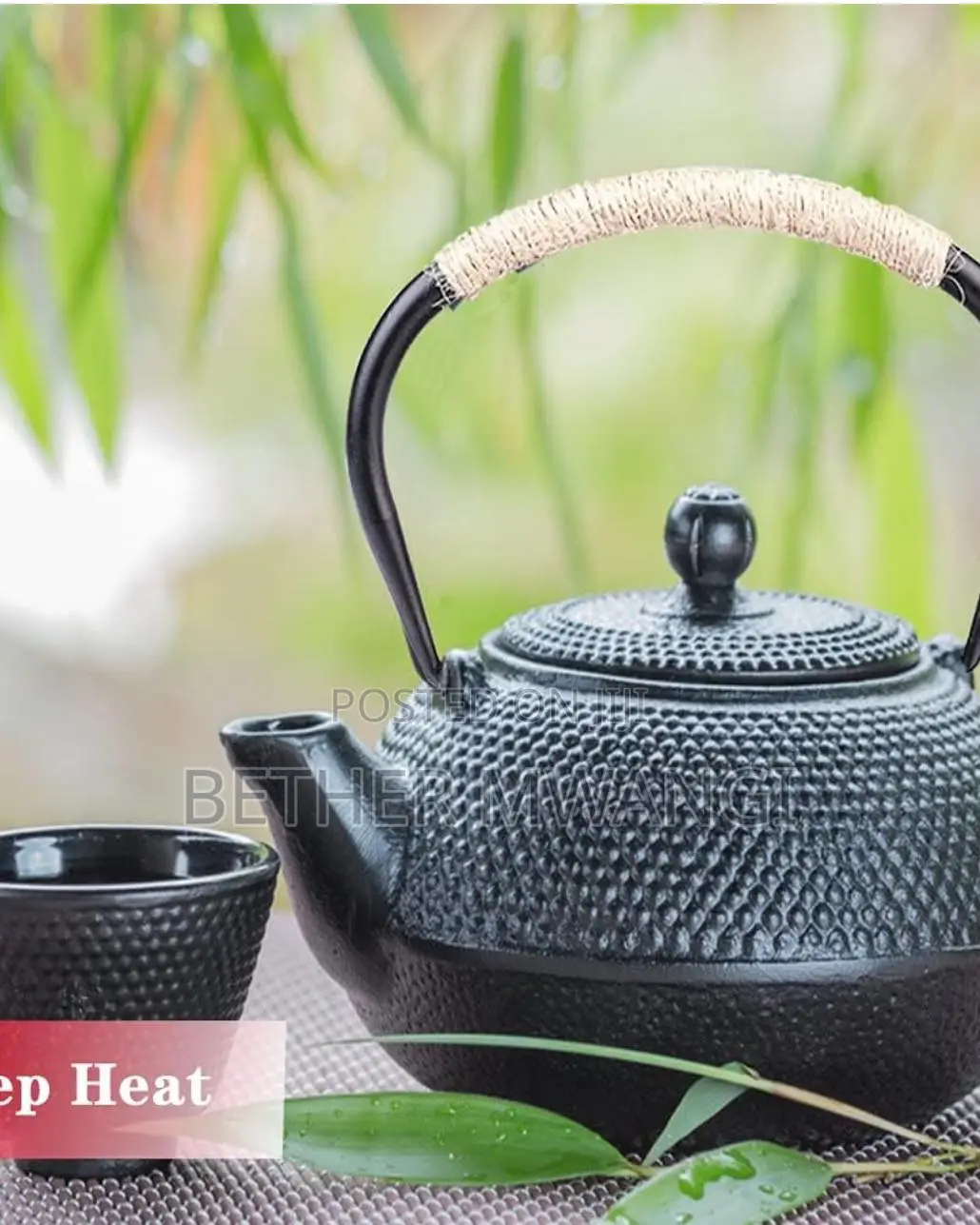 Japanese Cast Iron Tea Kettle Pot