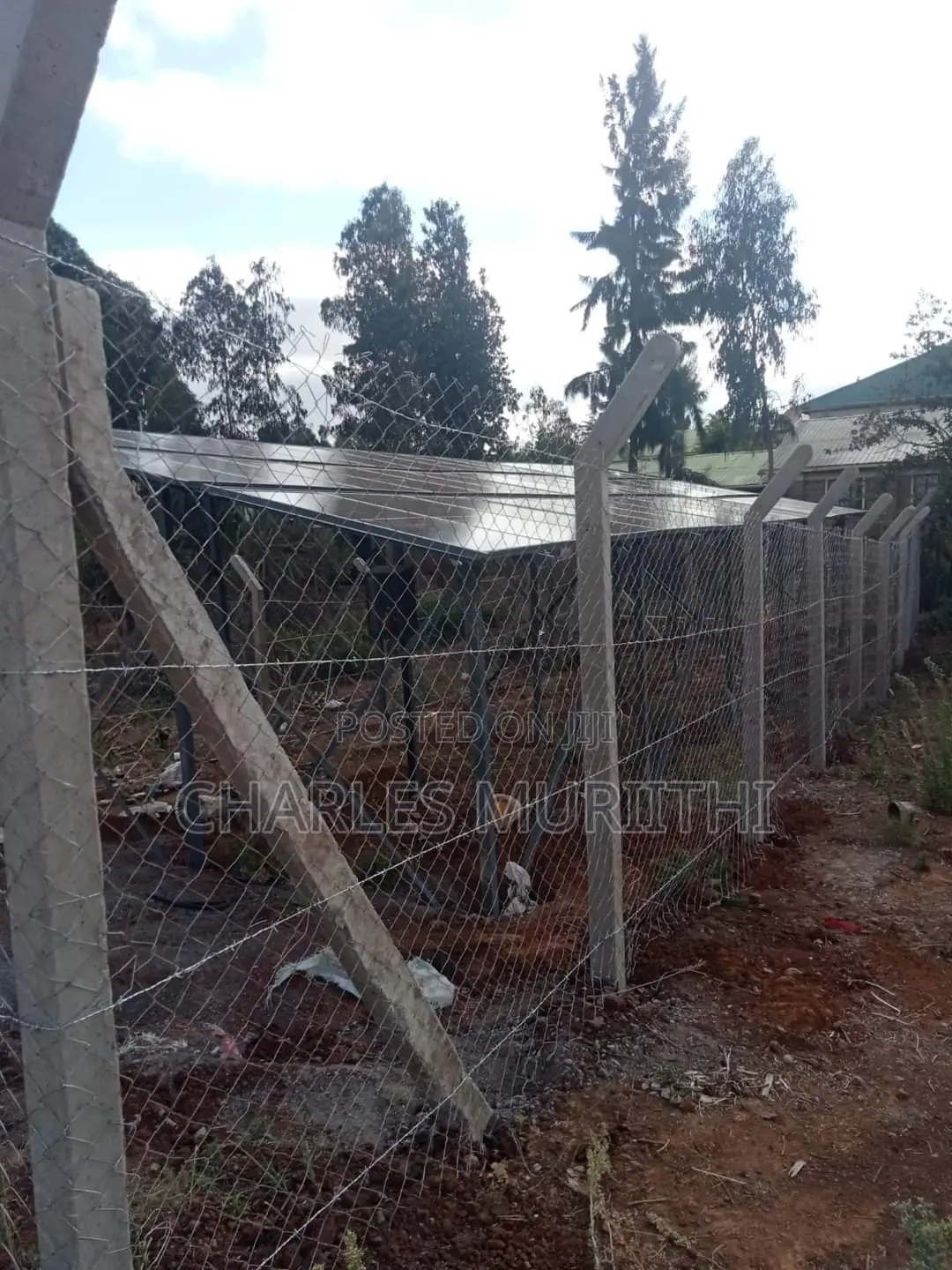 Fencing Poles