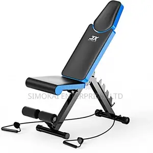 Adjustable Incline/Height Workout Bench