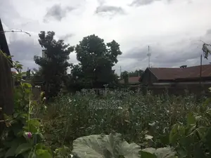 1/8th Acre Plot for Sale in Bangladesh, Nakuru