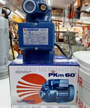 Pedrollo Water Pump Pkm60