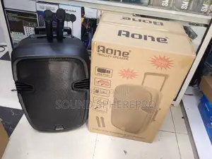Aone 15 Inch Powered Speaker