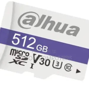 Dahua TF-P100/512GB 512GB Dahua Microsd Card