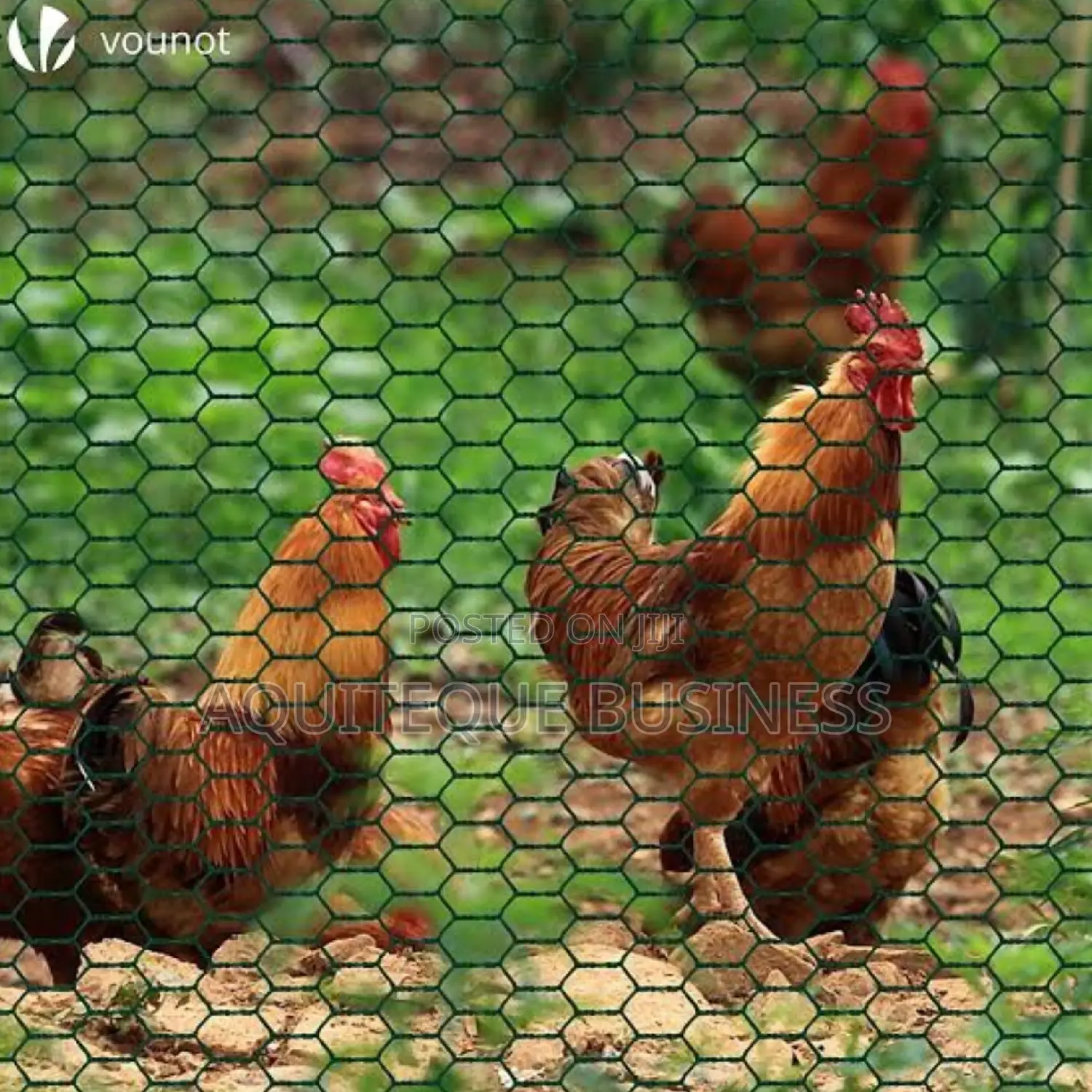 Chicken Wire 1"* 6ft