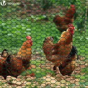 Chicken Wire 1"* 6ft