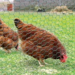 Chicken Wire Mesh. Wholesale Prices