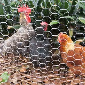 Chicken Wire Mesh. Heavy Duty