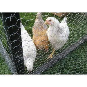 Chicken Wire Mesh. 1/2* 6ft