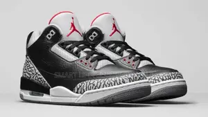 Air Jordan 3 'Black Cat'
