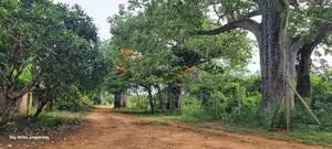 Bofa Kilifi, a Parcel of 6 Acres for Sale