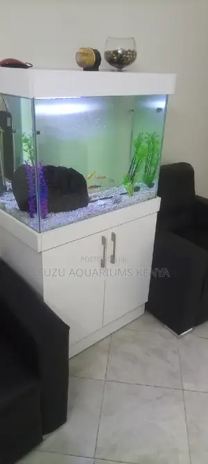 Customize Office Aquarium With Storage Cabinet