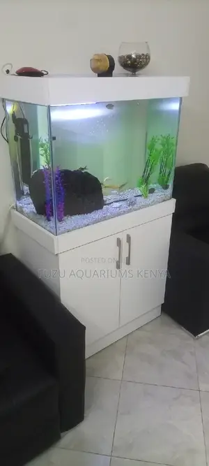 Customized Office Aquarium Top Quality
