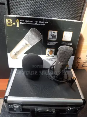 B1 Behringer Studio Codenser Microphone