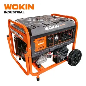 Wokin Generator